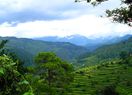 Exotic Uttrakhand